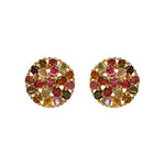Earrings - Tourmaline Cluster Circle