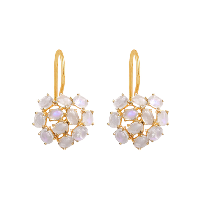 Earrings - Moonstone Cluster