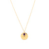 Necklace - Talisman Birthstone February