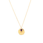 Necklace - Talisman Birthstone February