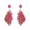 Earrings - Free Form Ruby