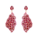 Earrings - Free Form Ruby